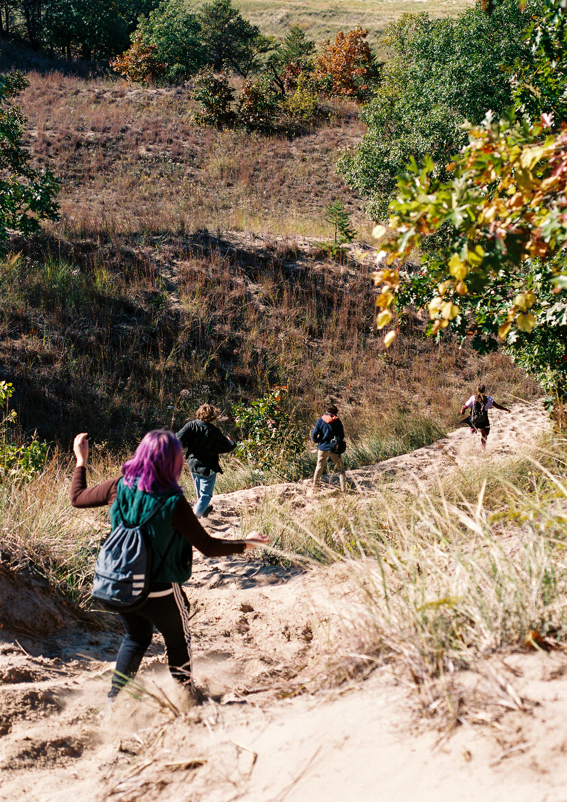 Indiana Dunes (Beverly Shores, Indiana)