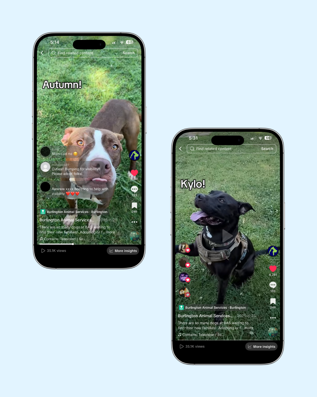 Top performing TikTok post