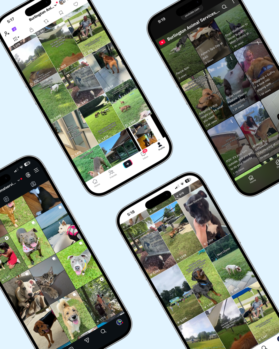 Social Media feeds across TikTok, Instagram, Facebook and YouTube