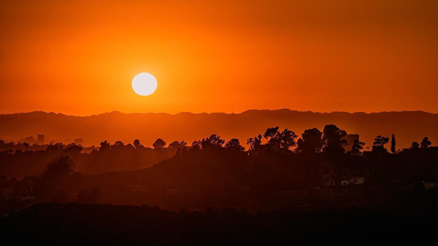 Holywood Hills in Los Angeles, California