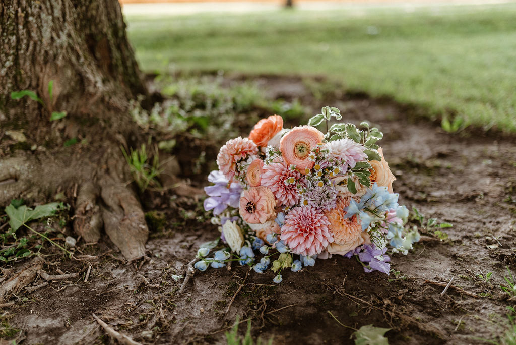 Chelsea Noel Photography