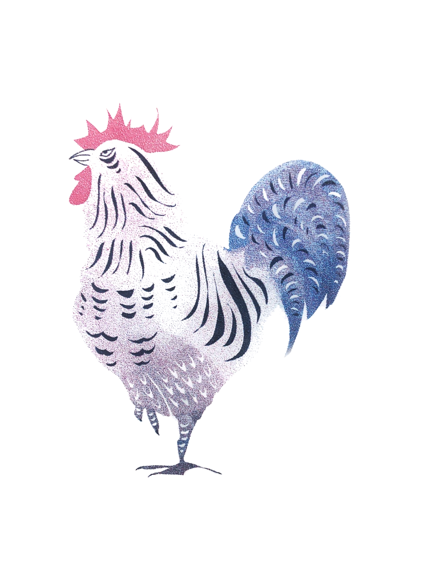 Rooster·鸡
