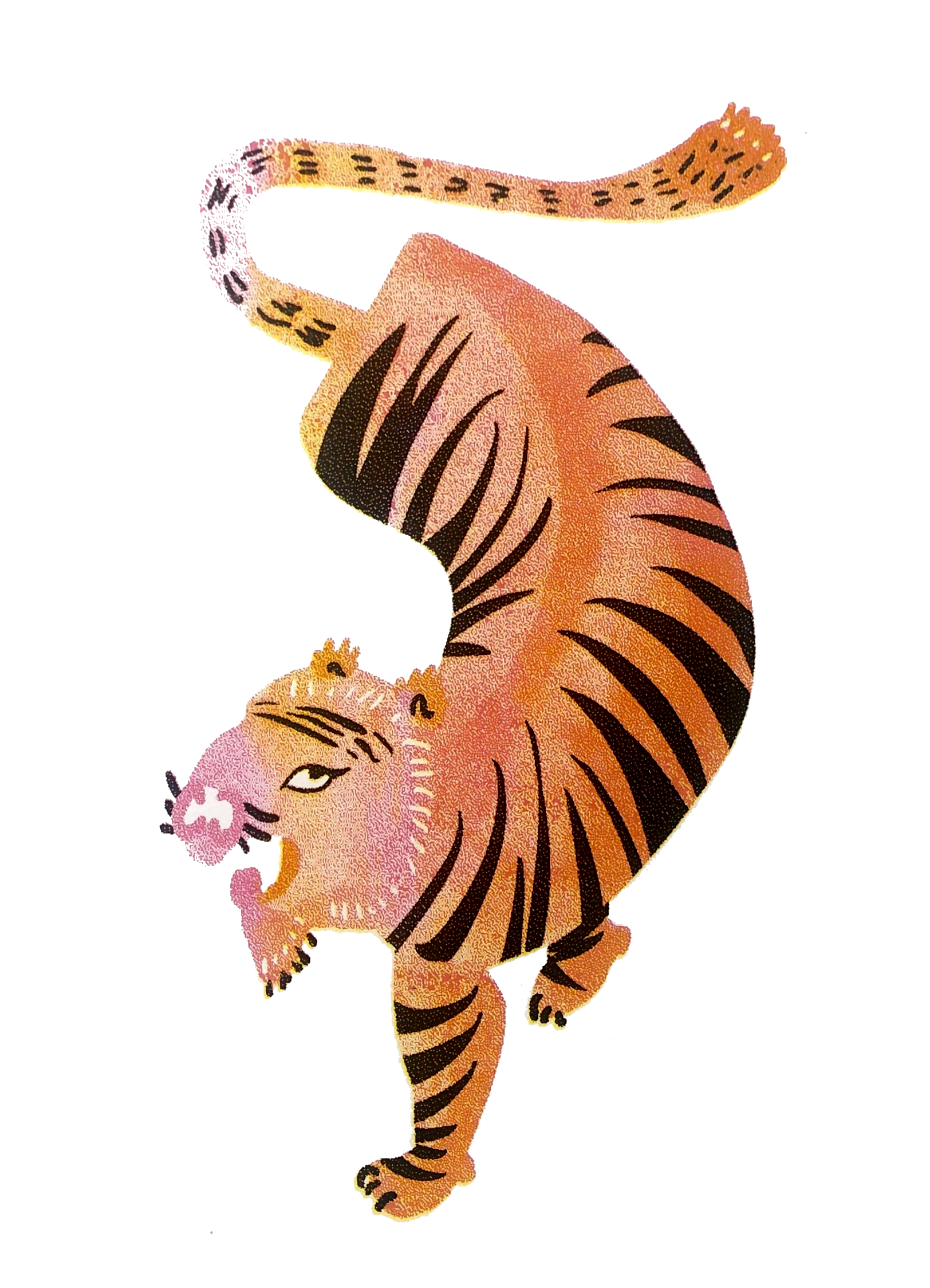 Tiger·虎