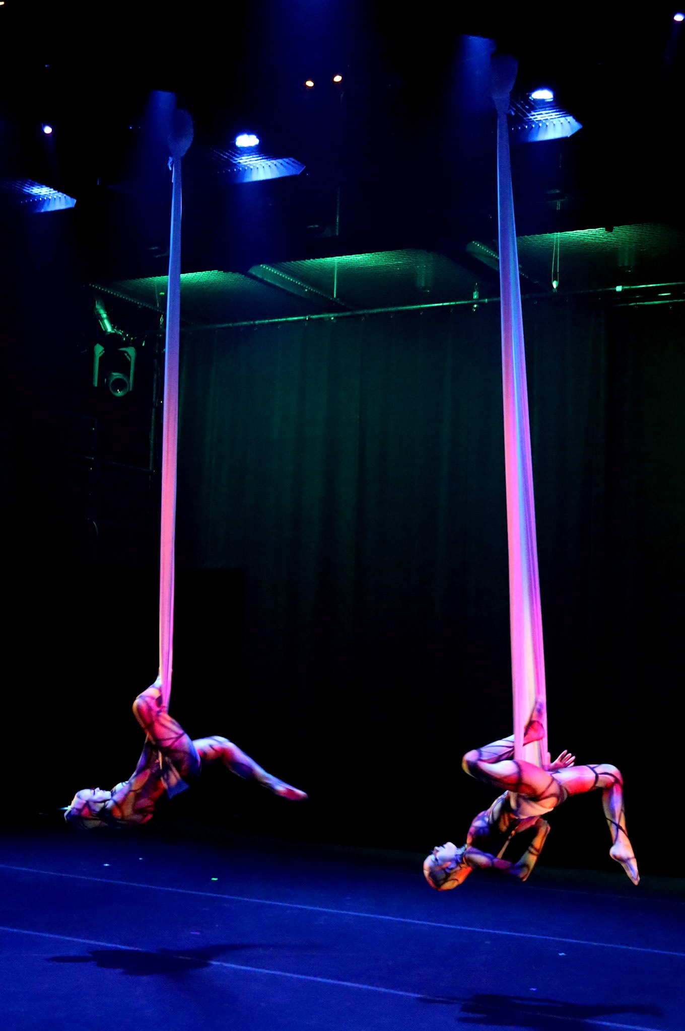 just when the caterpillar thought by Tanya Calamoneri