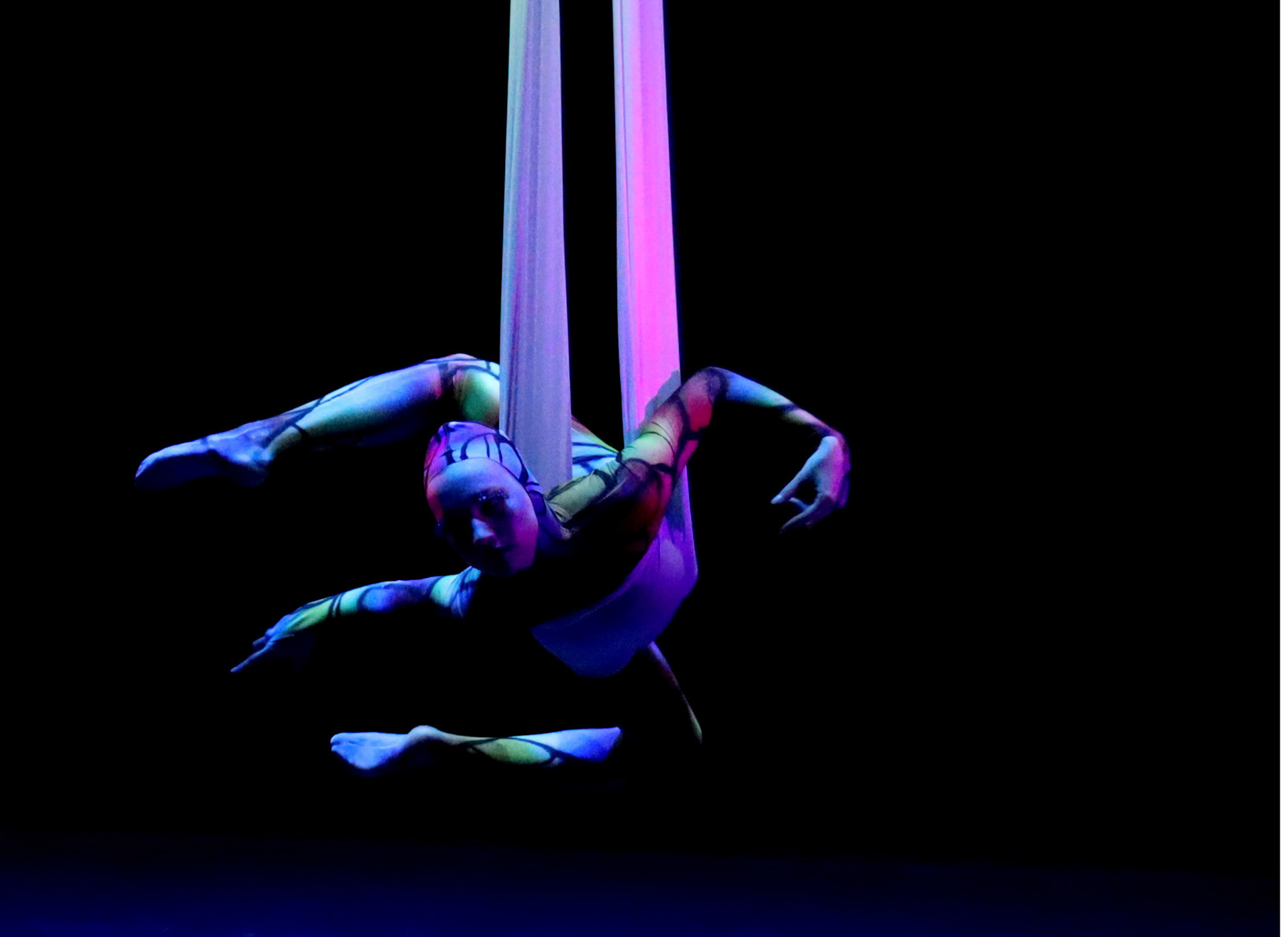 just when the caterpillar thought by Tanya Calamoneri