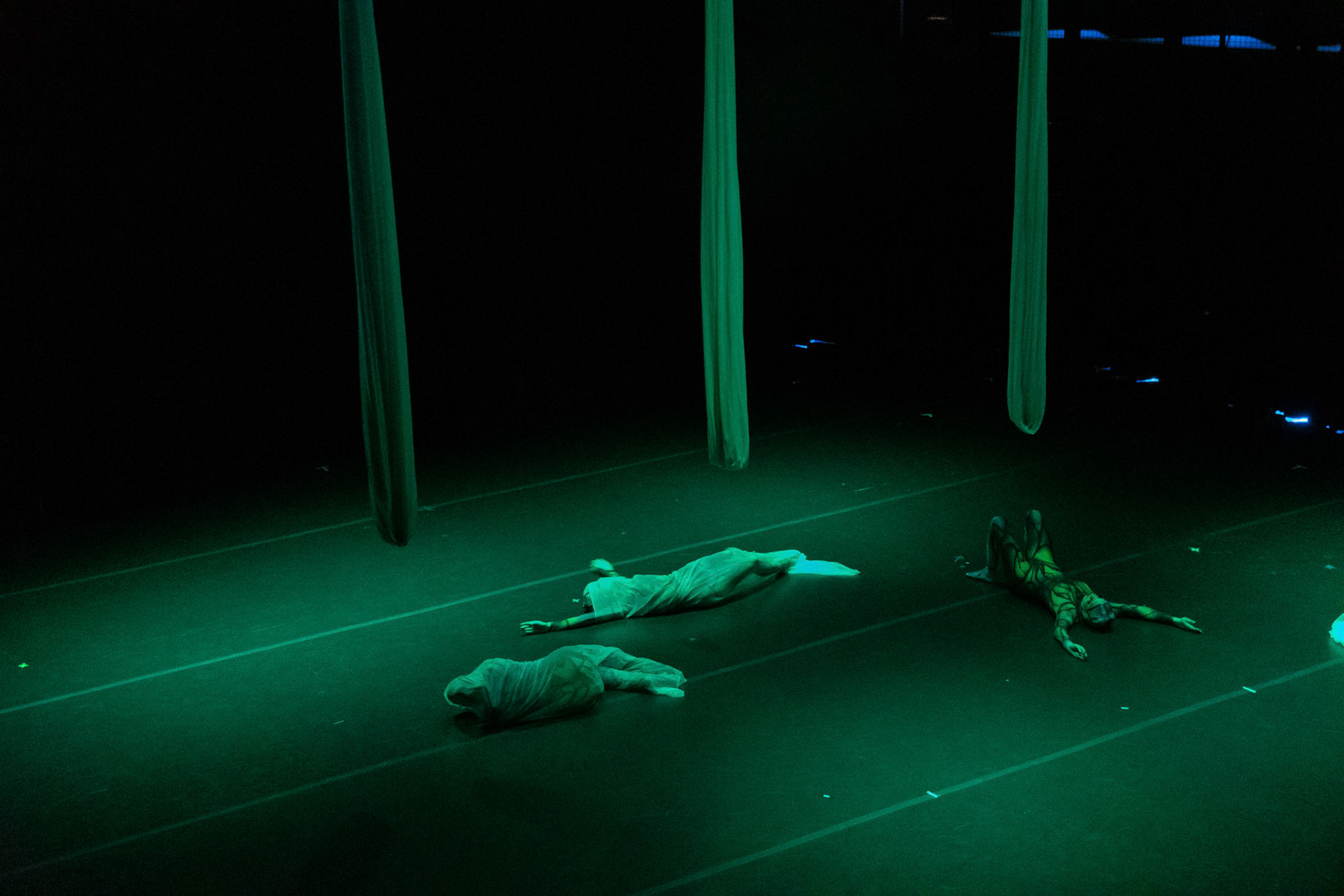 just when the caterpillar thought by Tanya Calamoneri