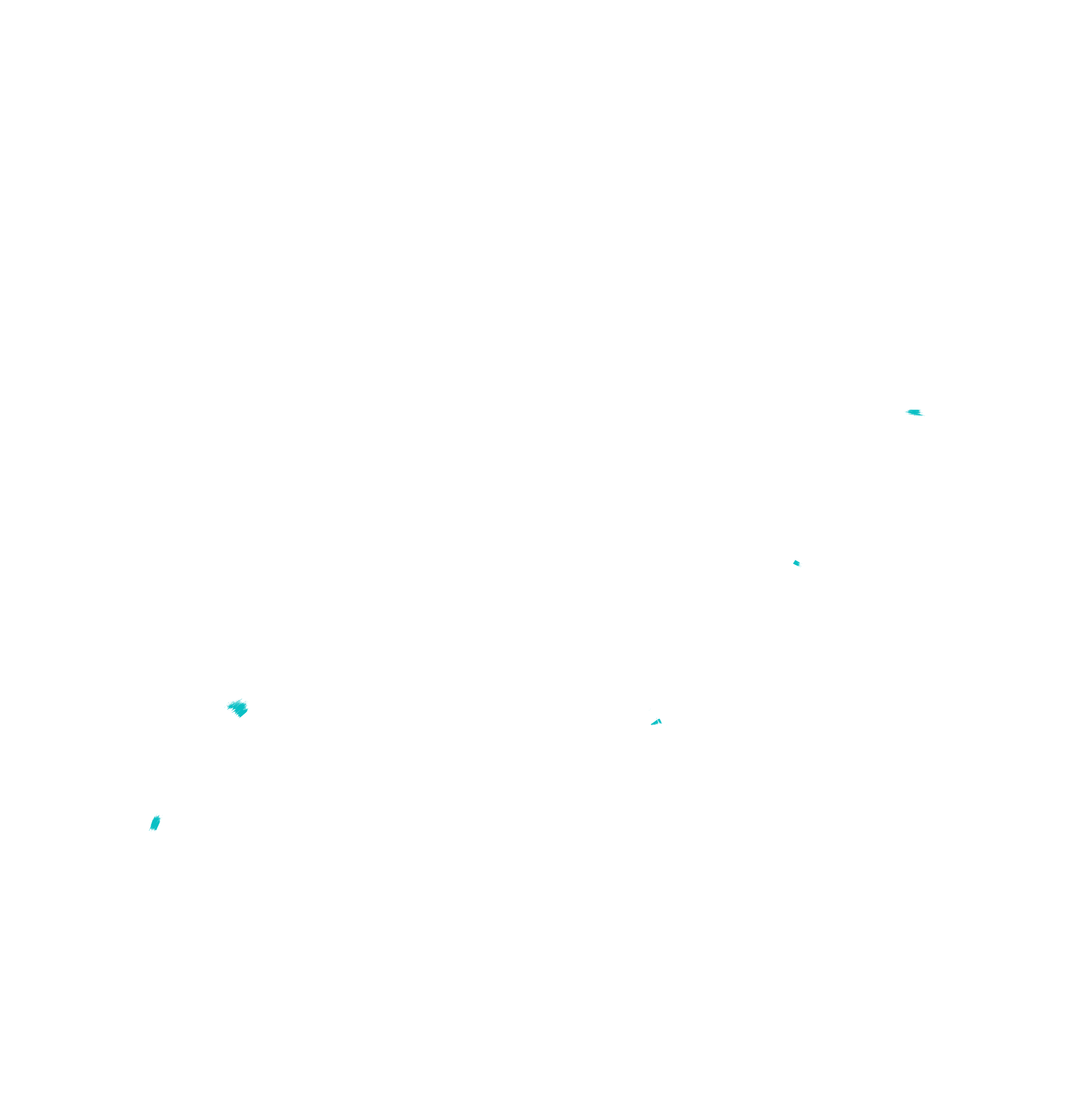 Shristi