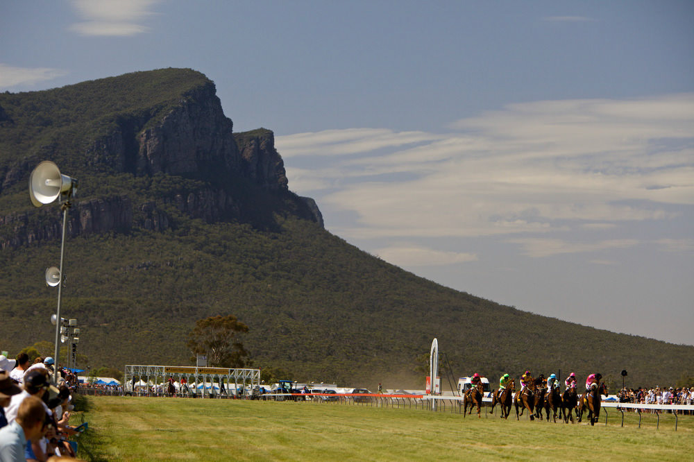 Race 5 Dunkeld Cup
