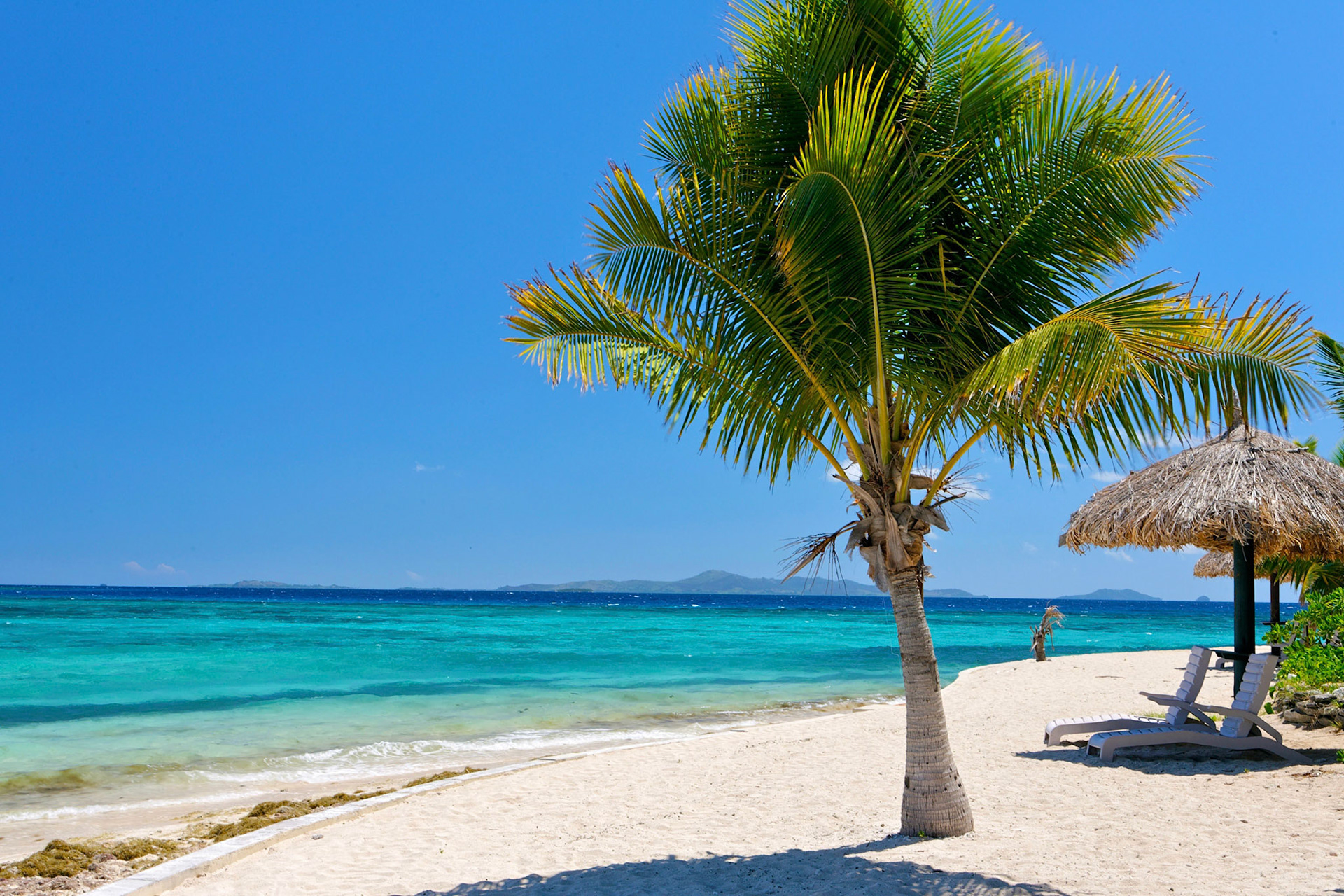 Island Life