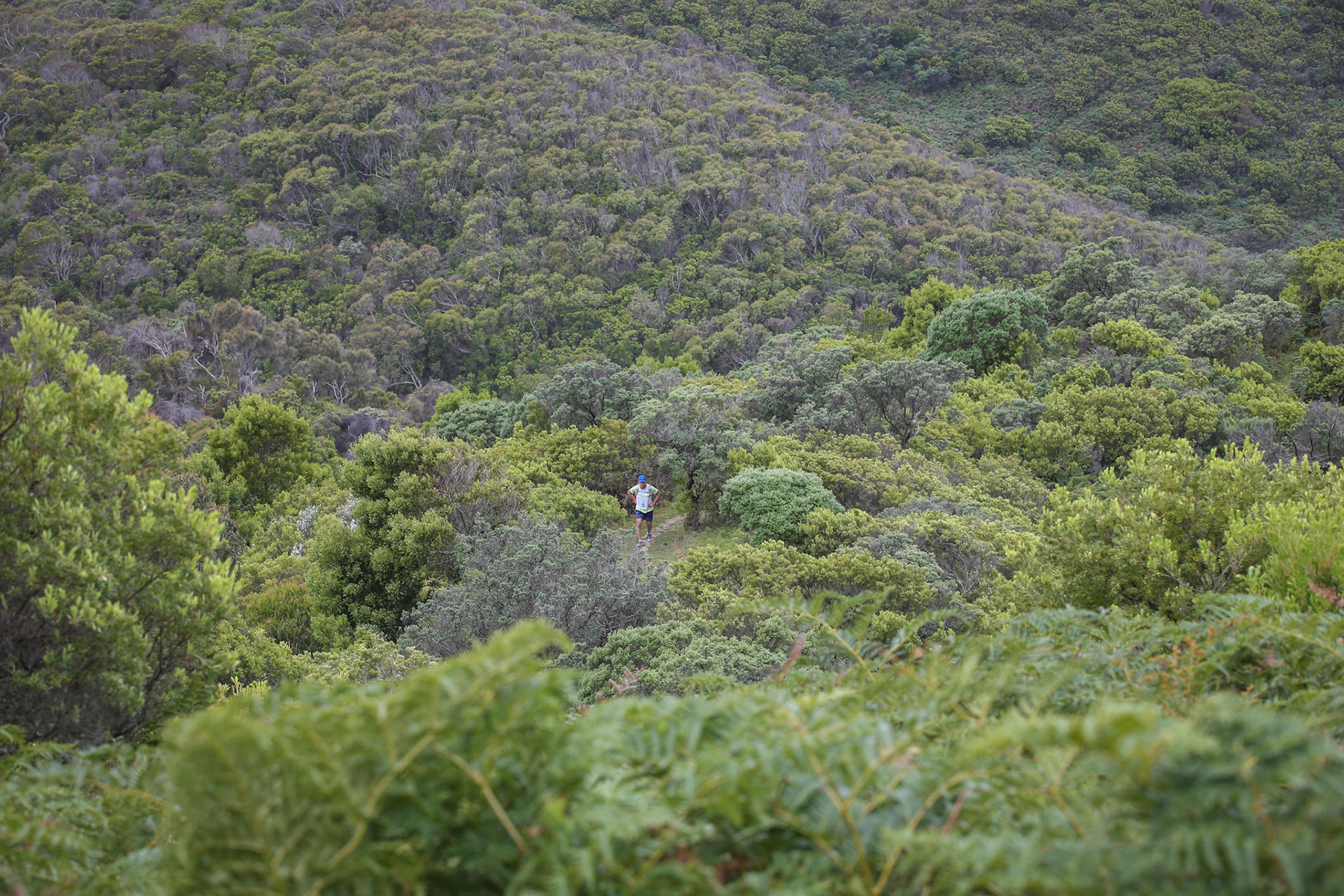 2016 Trails 4 ChangeGreat Ocean Road, Victoria, Australia24th-26th November 2016