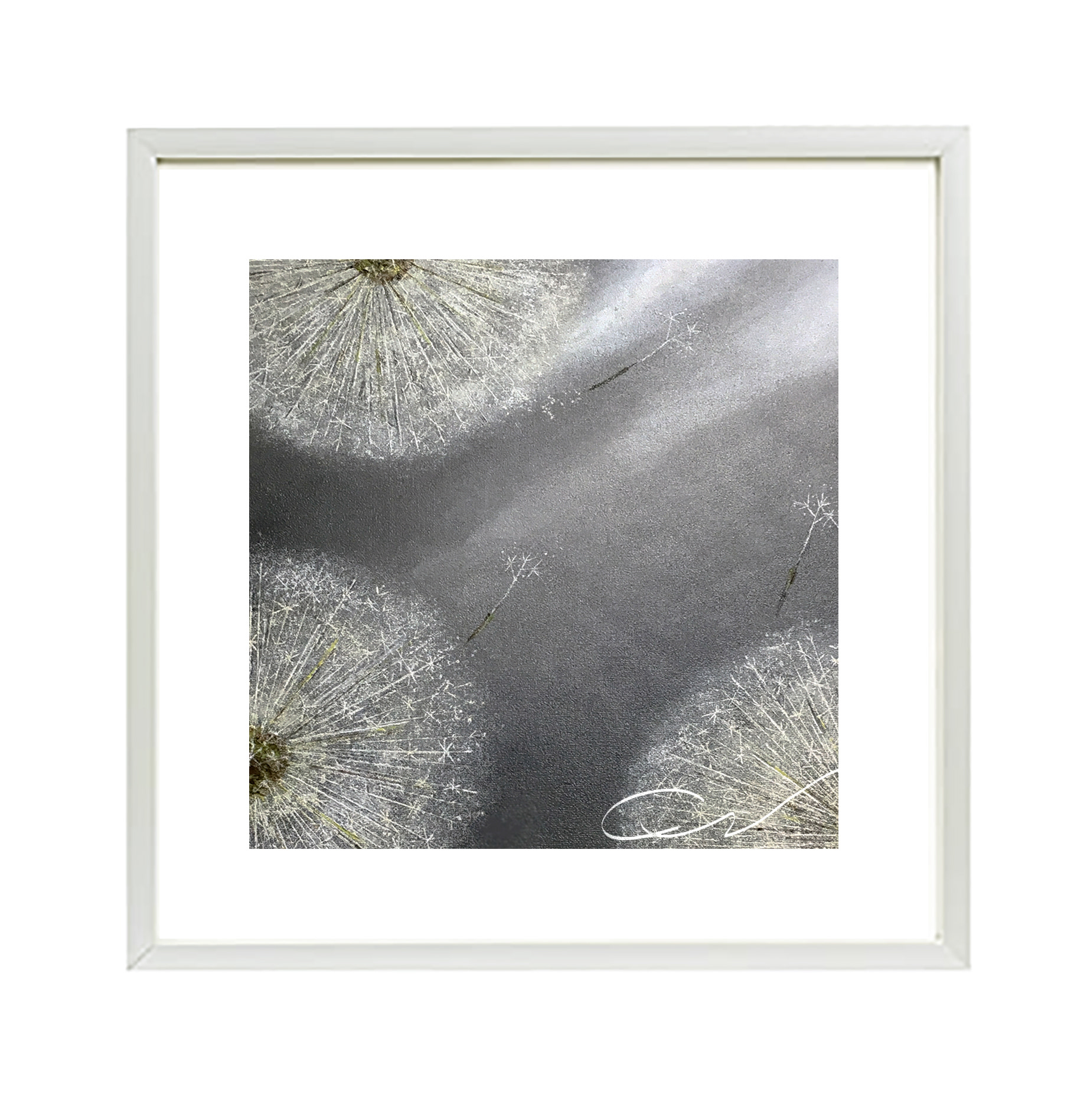 Dandelion © Artist - C.W