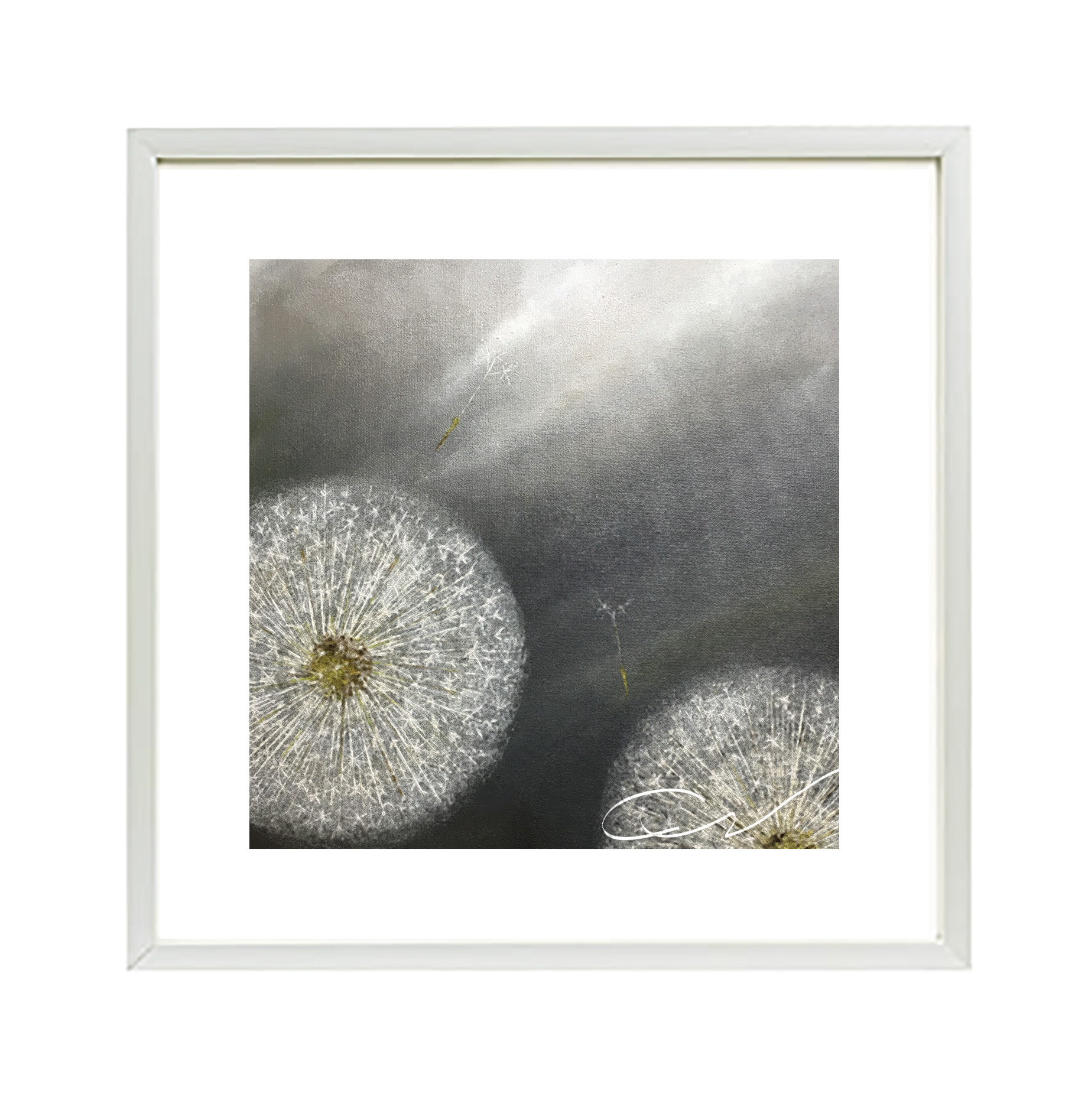 Dandelion © Artist - C.W