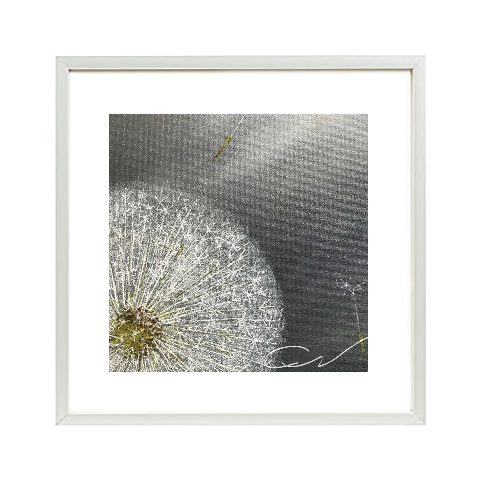 Dandelion © Artist - C.W