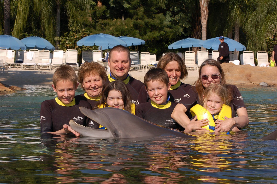 Swimming With Dolphins Discovery Cove Florida