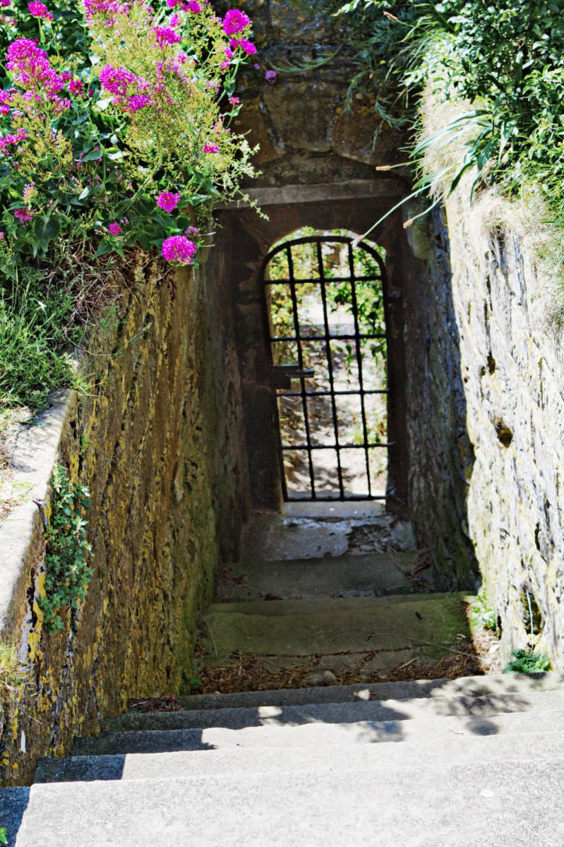Secret Garden