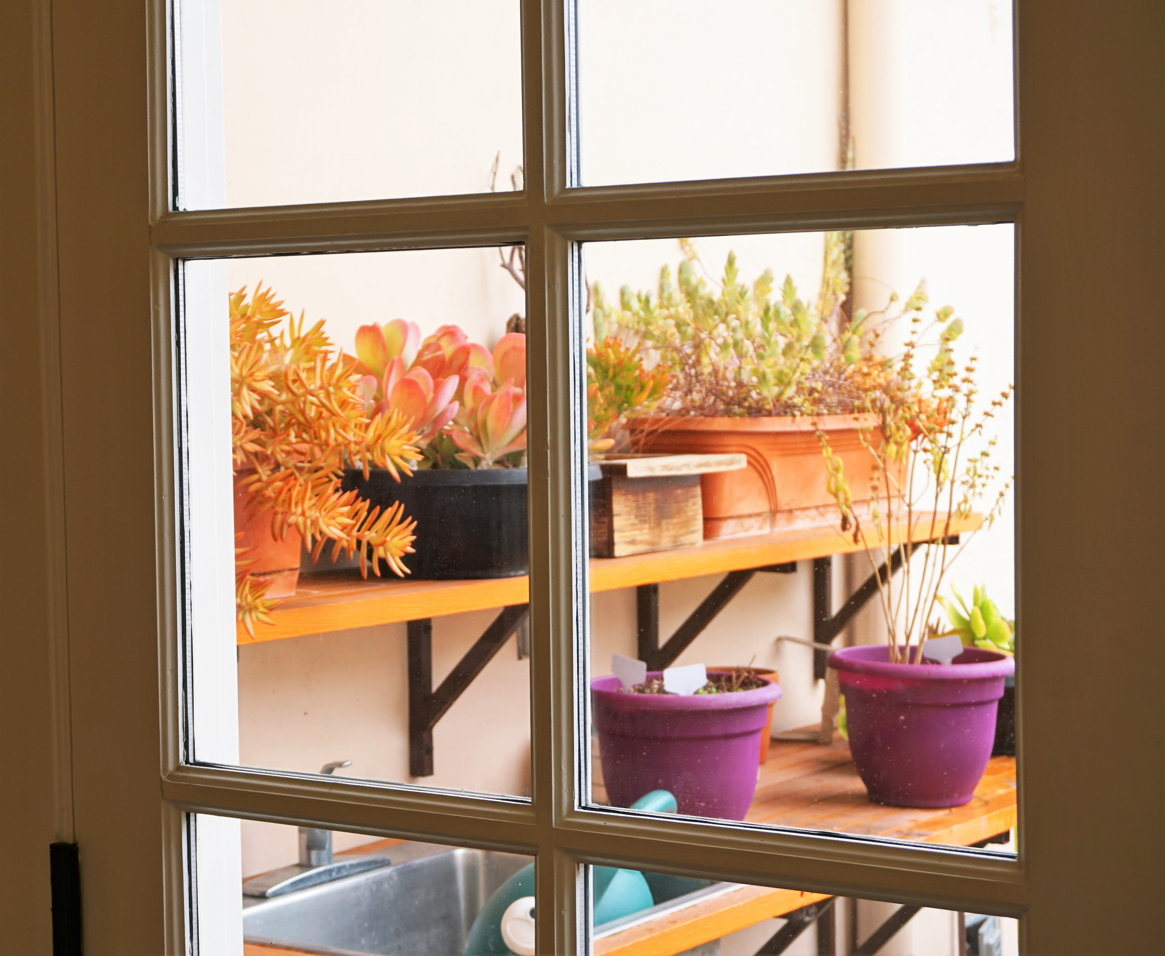 Figure 25. SOUTH-FACING TERRACE