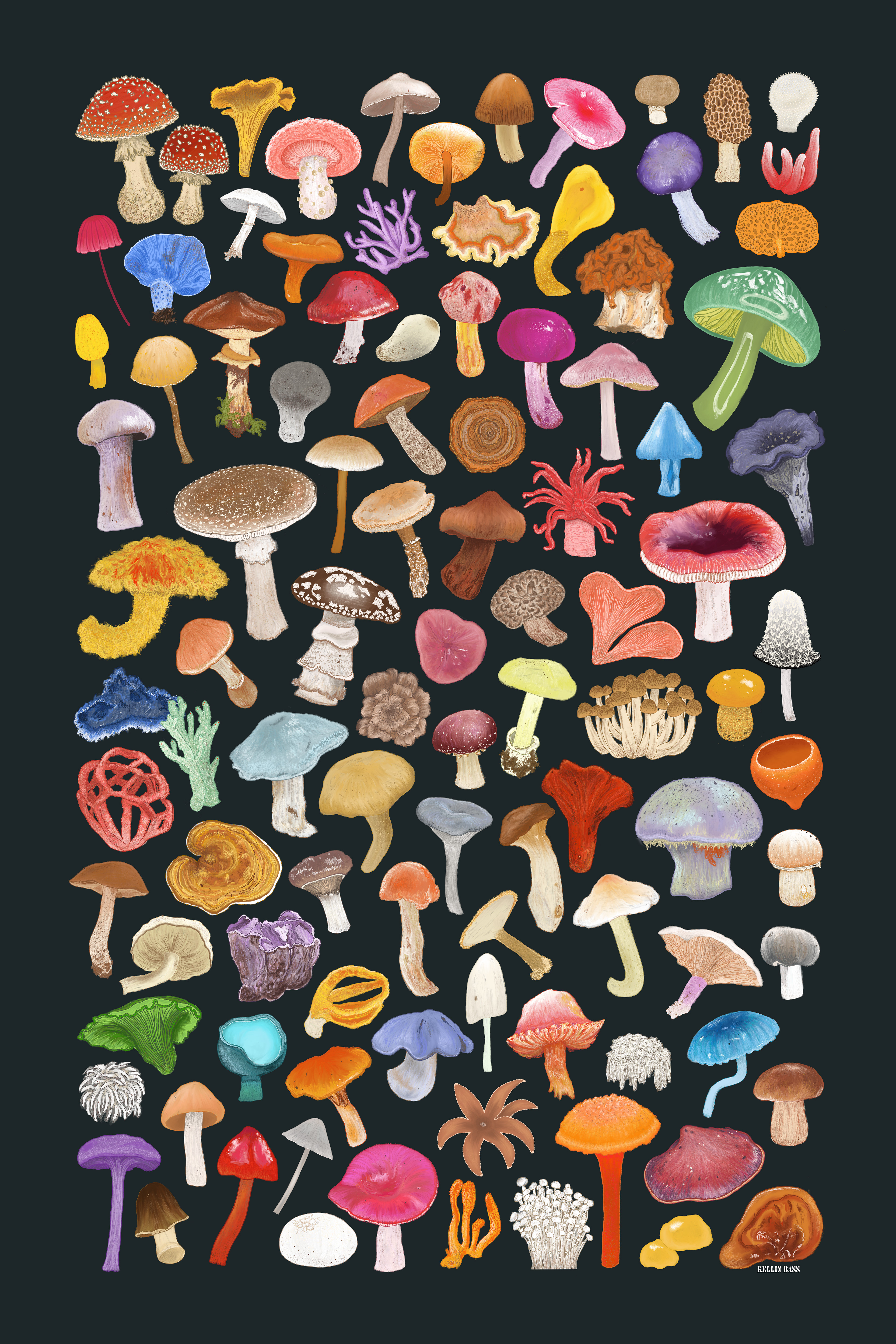 100 Mushrooms