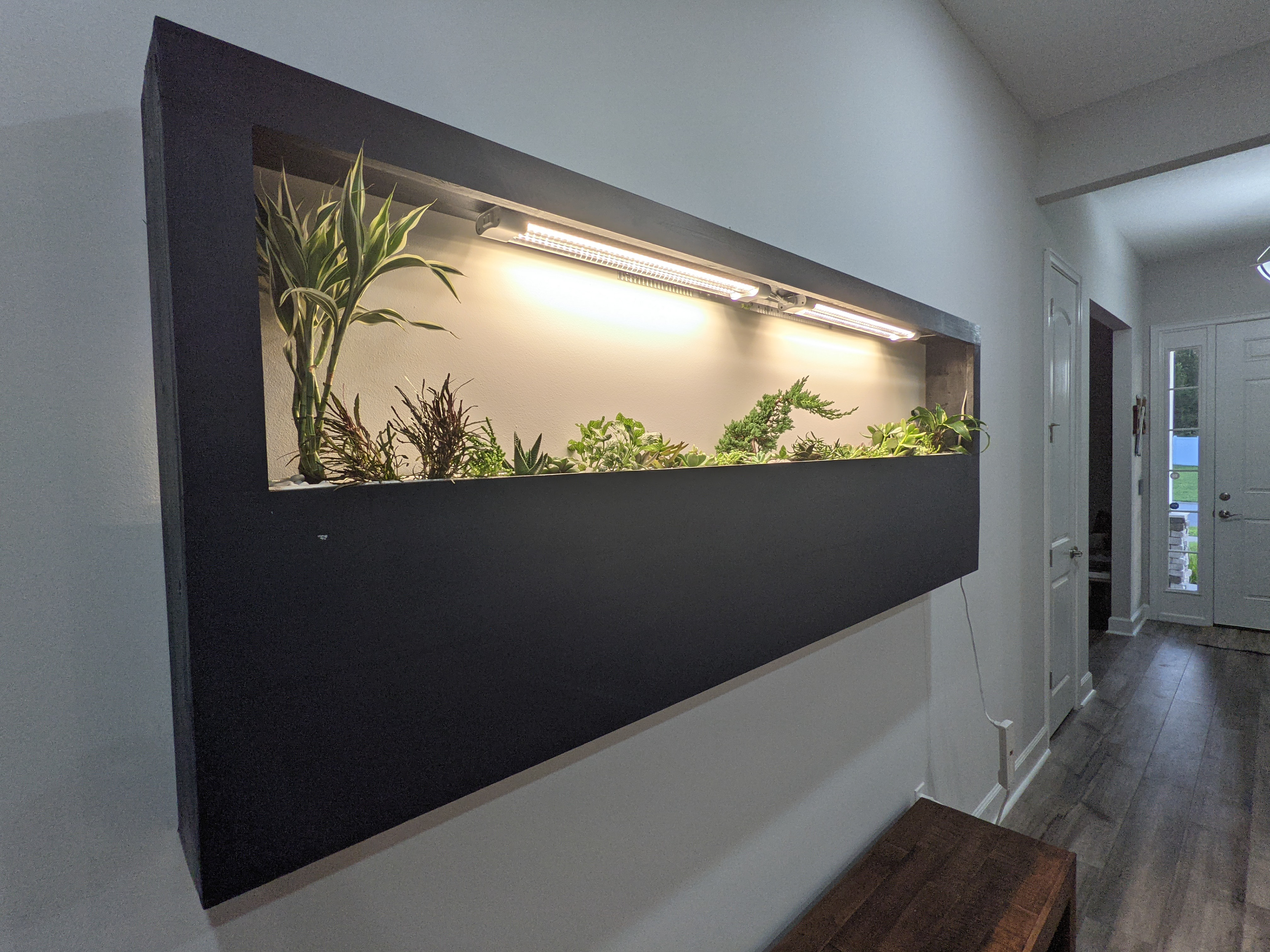From concept to build this terrarium houses a variety of suculents, bamboo and a banzai.