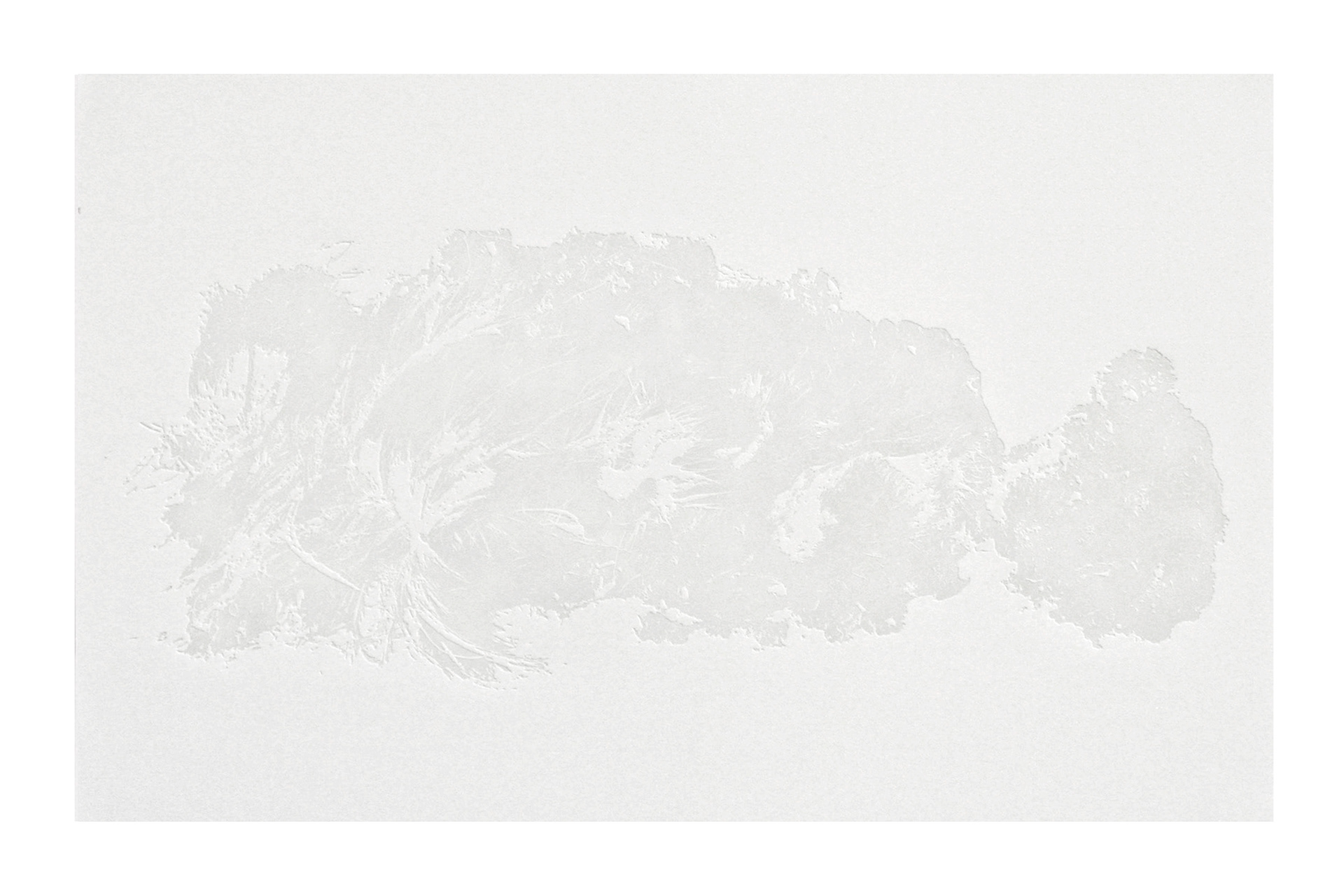 Untitled, embossed print on paper, 32x22", 2014