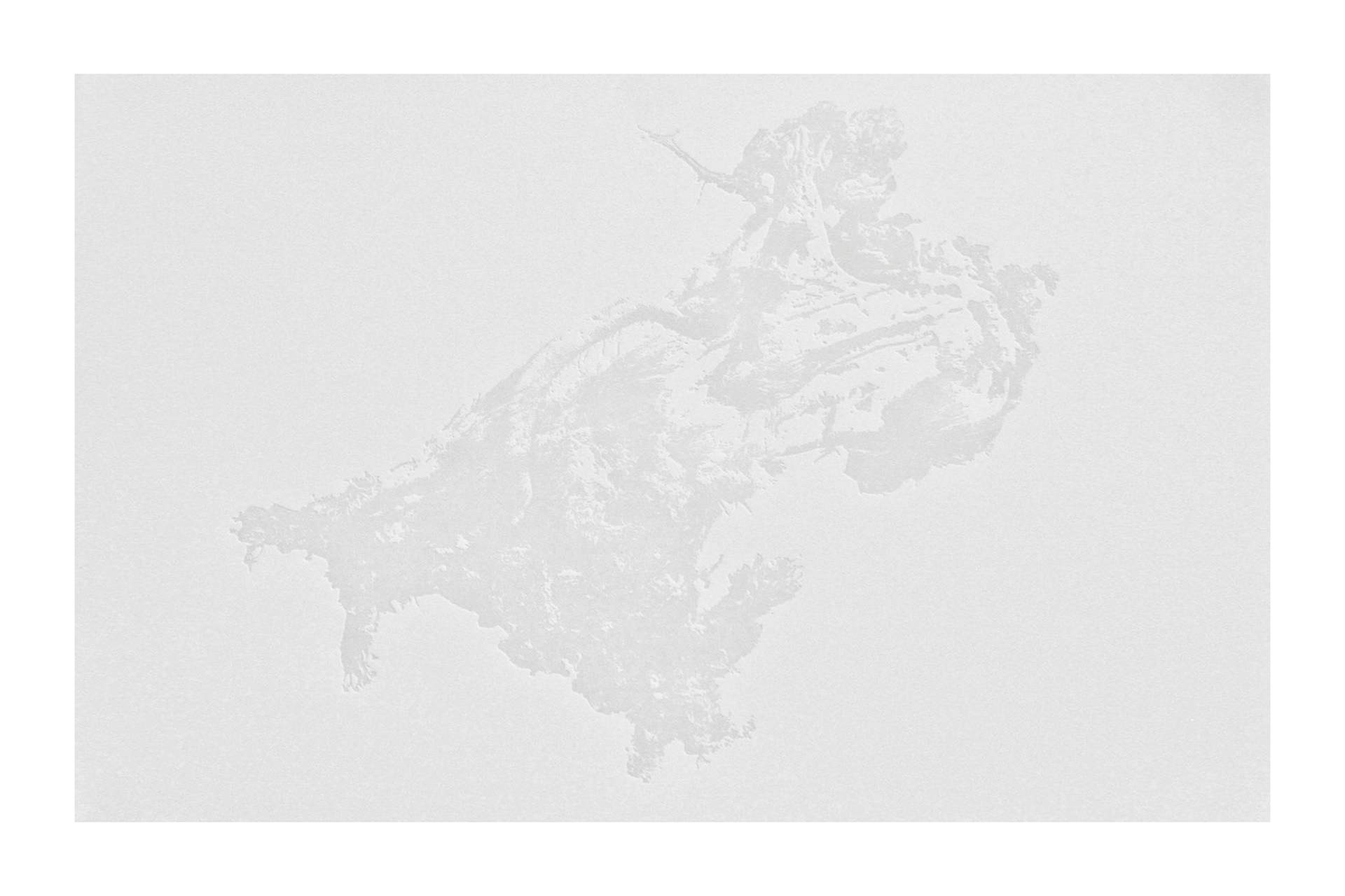 Untitled, embossed print on paper, 32x22", 2014