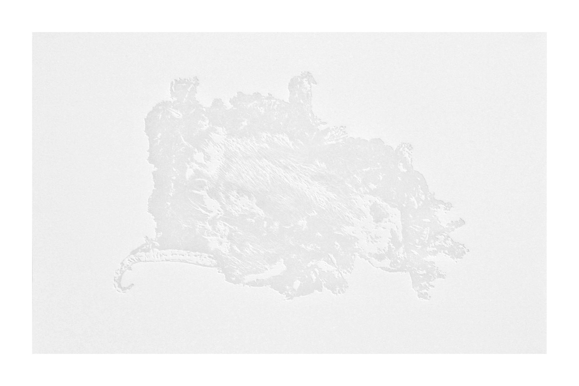 Untitled, embossed print on paper, 32x22", 2014