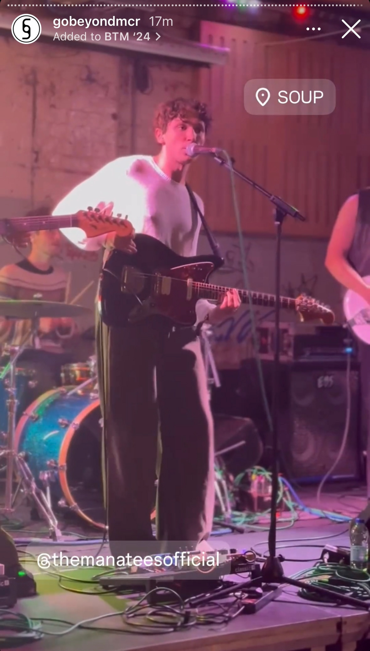 The Manatees at Soup