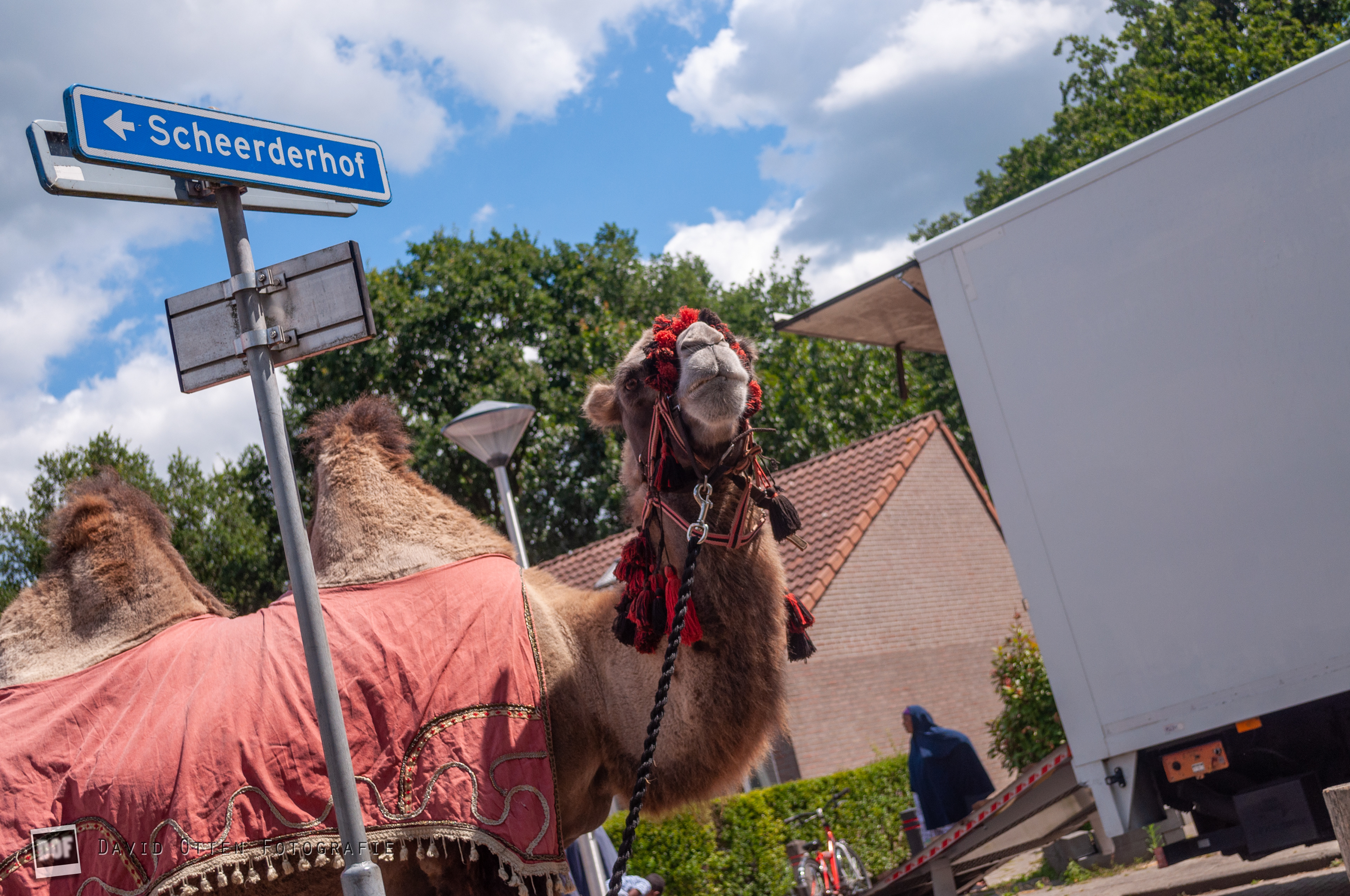 Rijpelberg Vakantieland