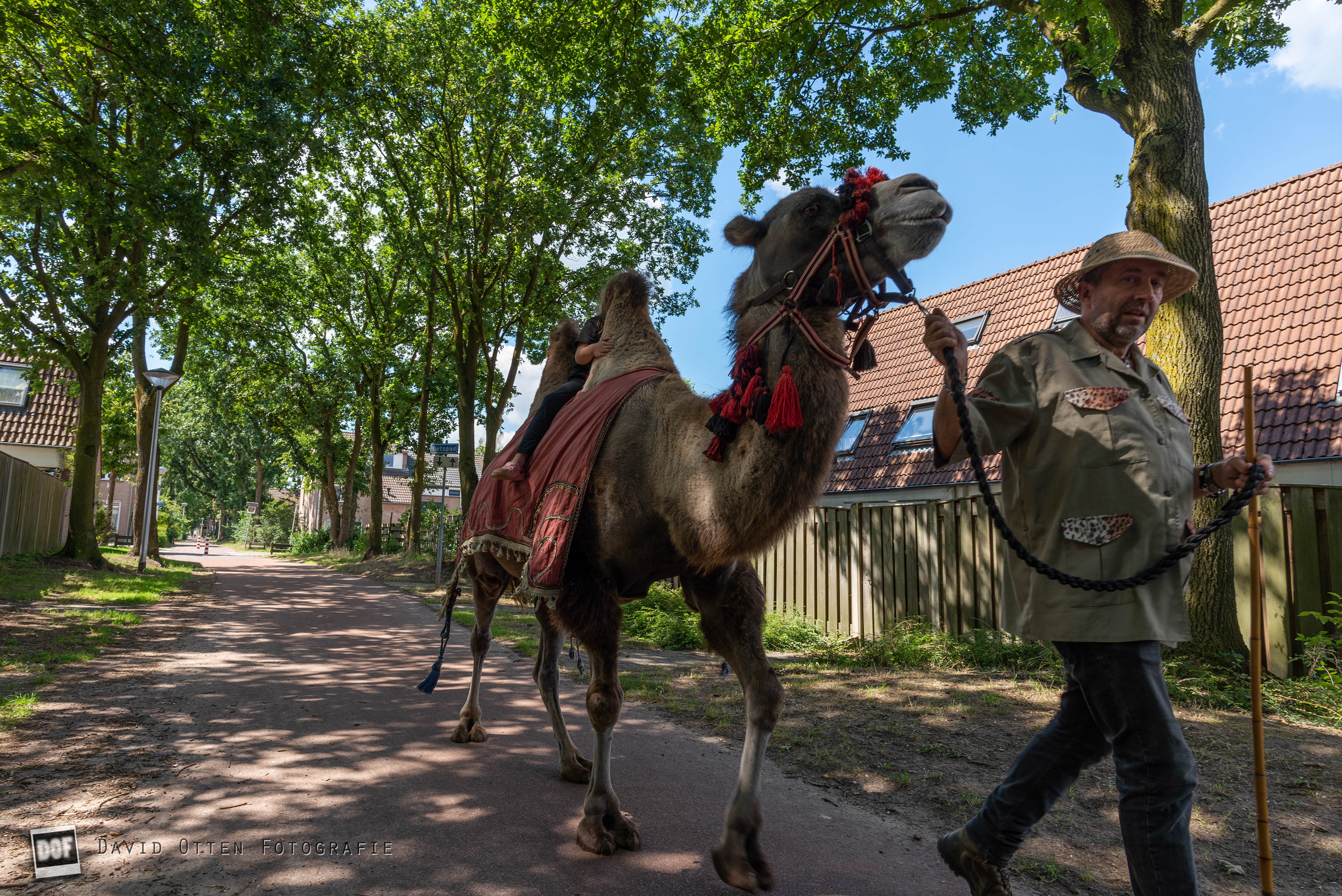 Rijpelberg Vakantieland