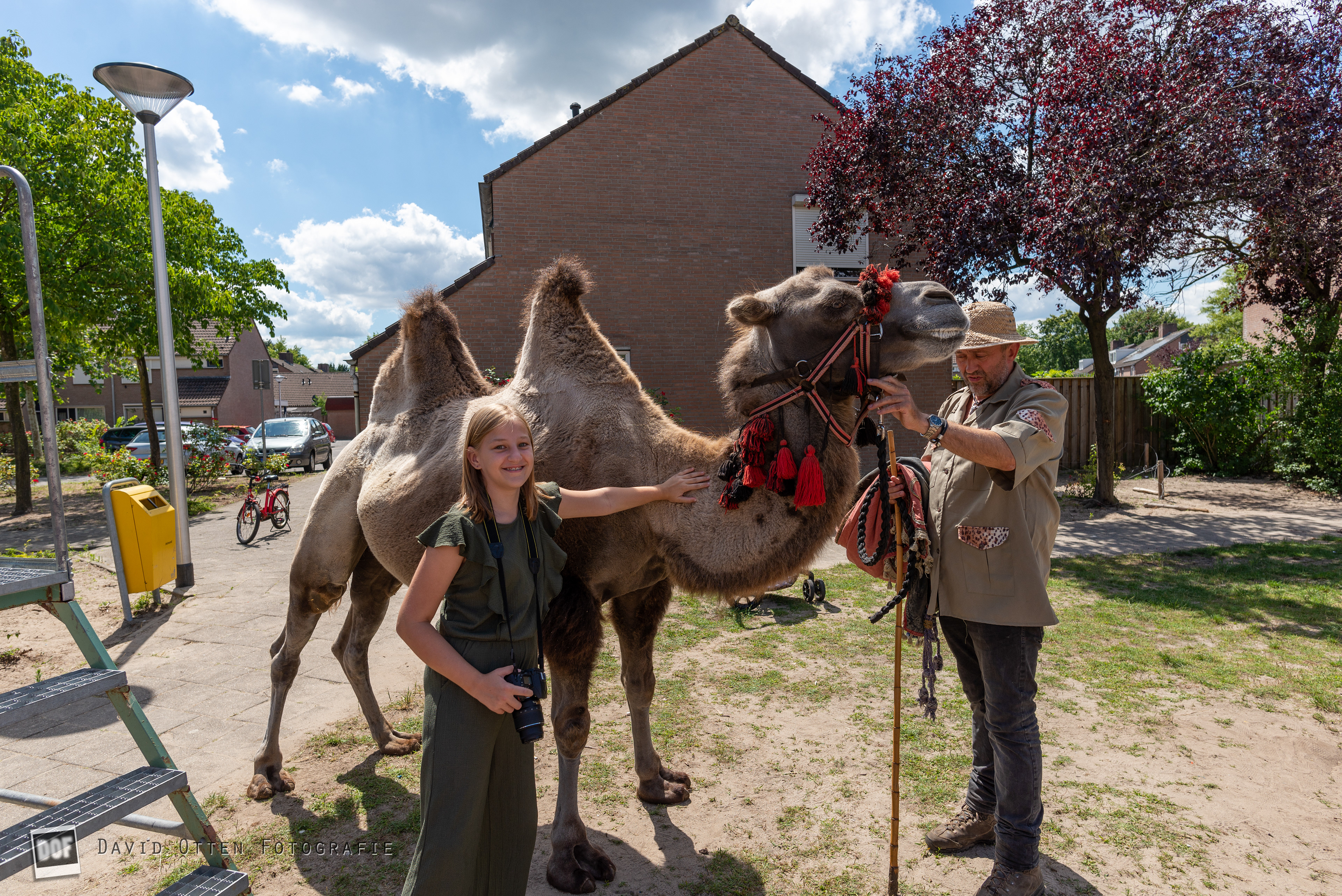 Rijpelberg Vakantieland