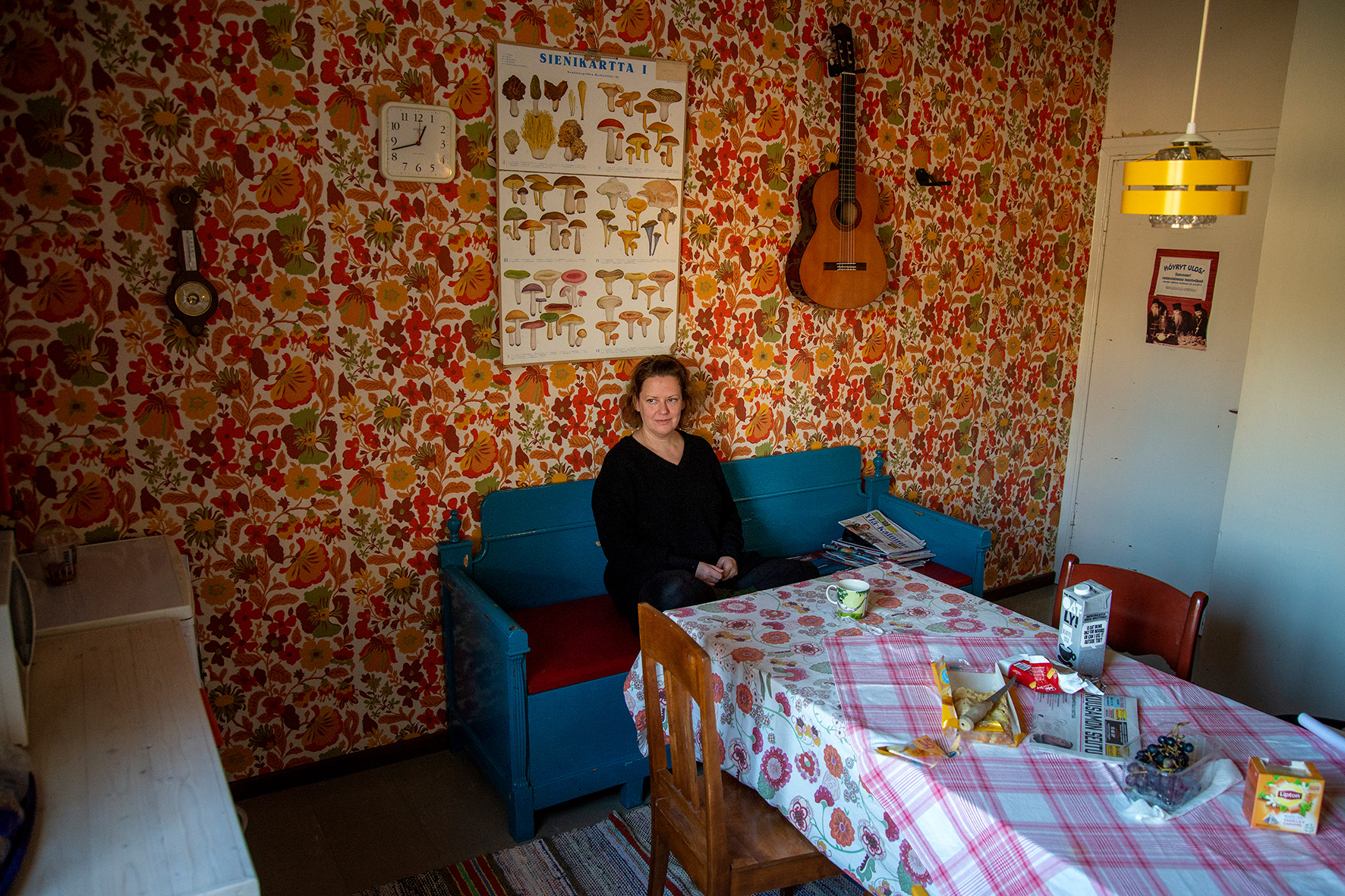 Artist Johanna Laaja, Pohjoiset polut