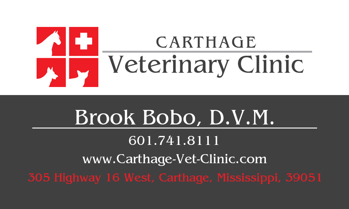 Veterinary Business Card