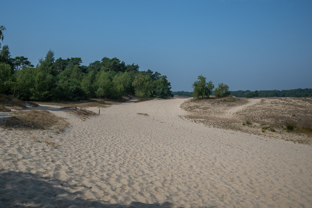 Drunensche Duinen