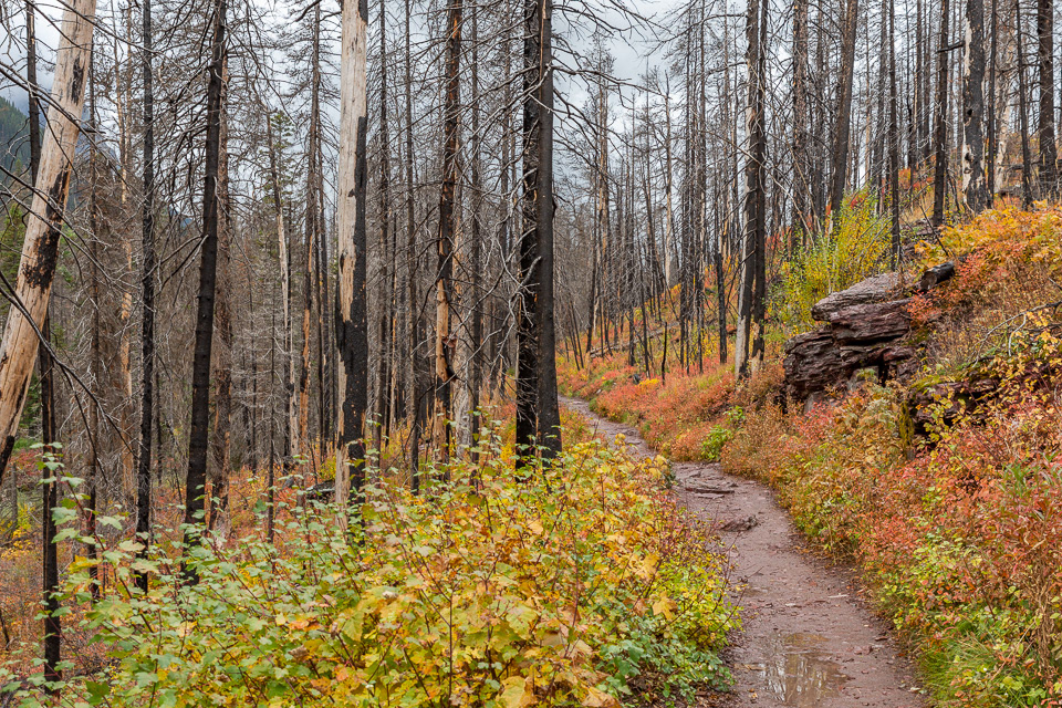 hike naar Saint Mary Falls
