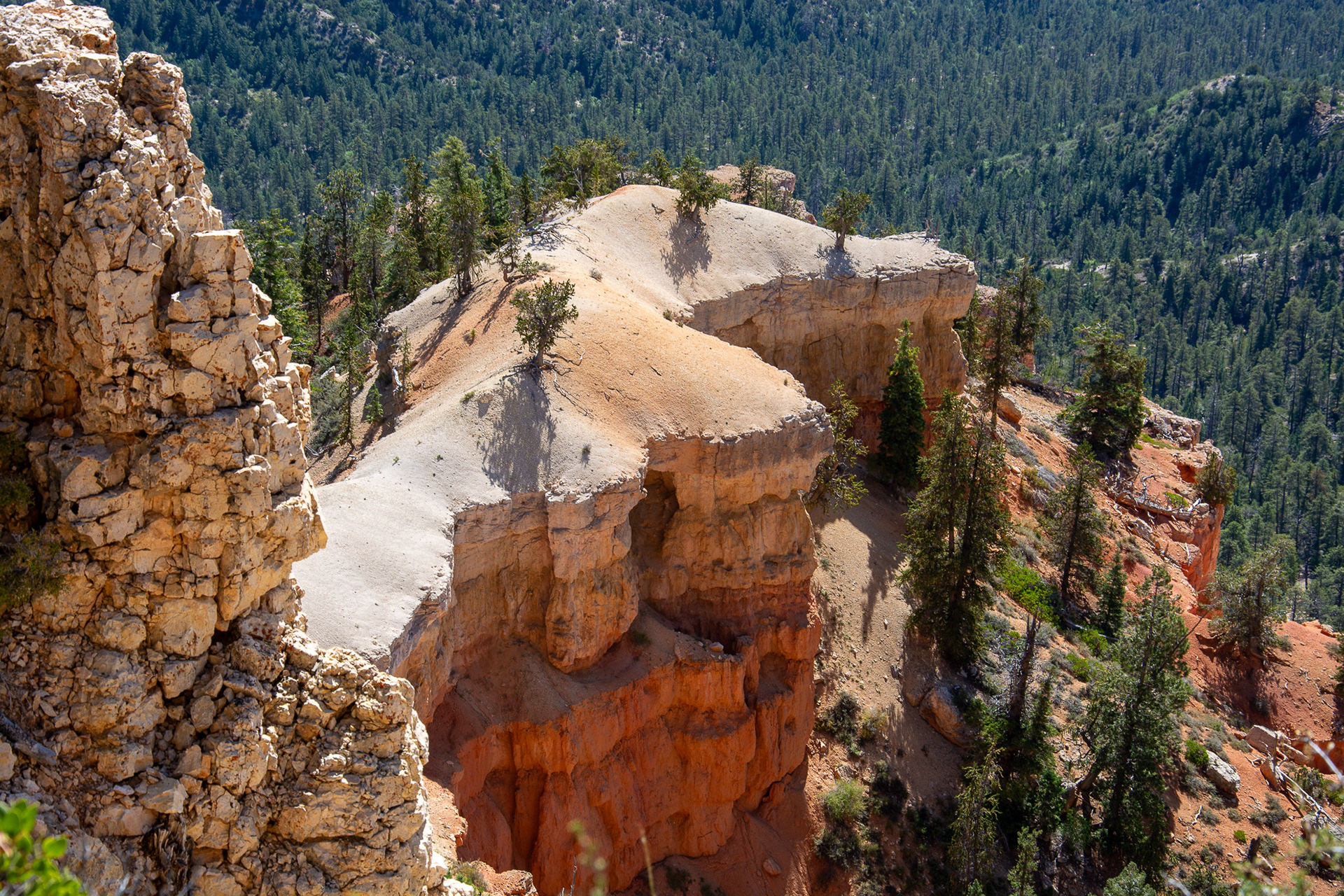 Bryce NP