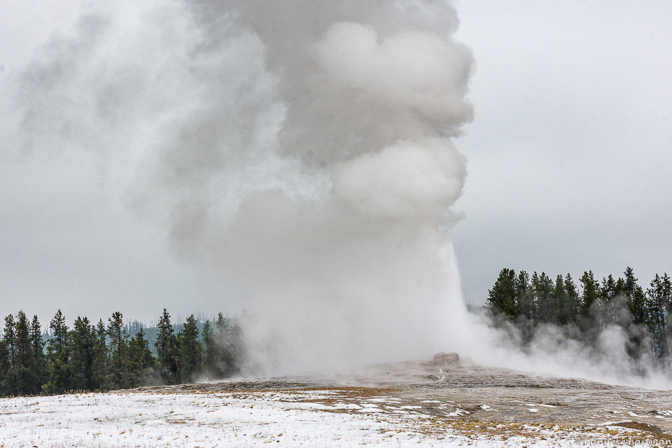 Old Faithful