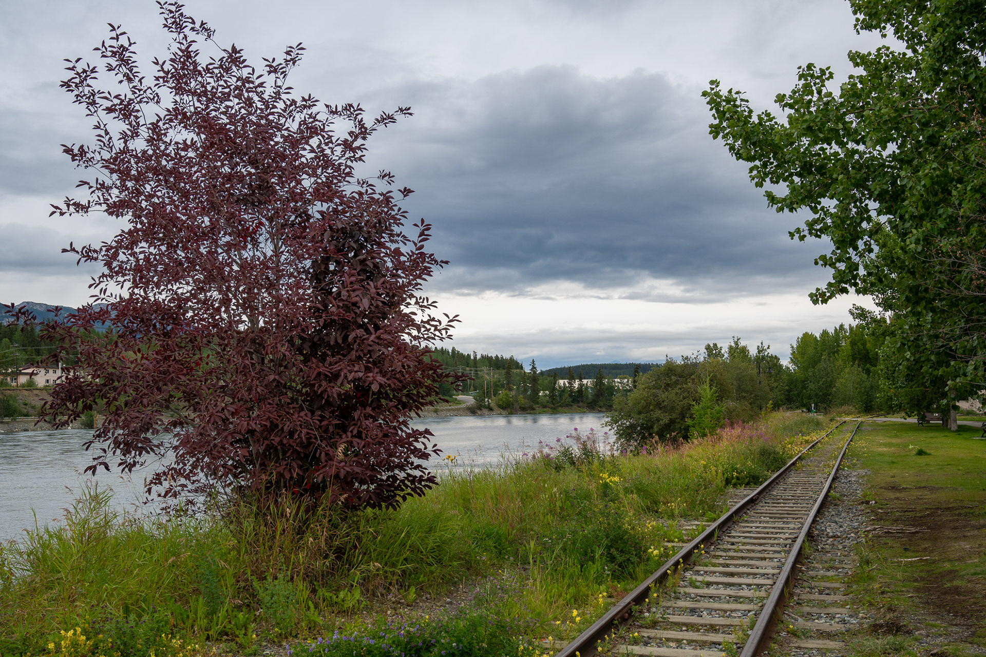 Whitehorse