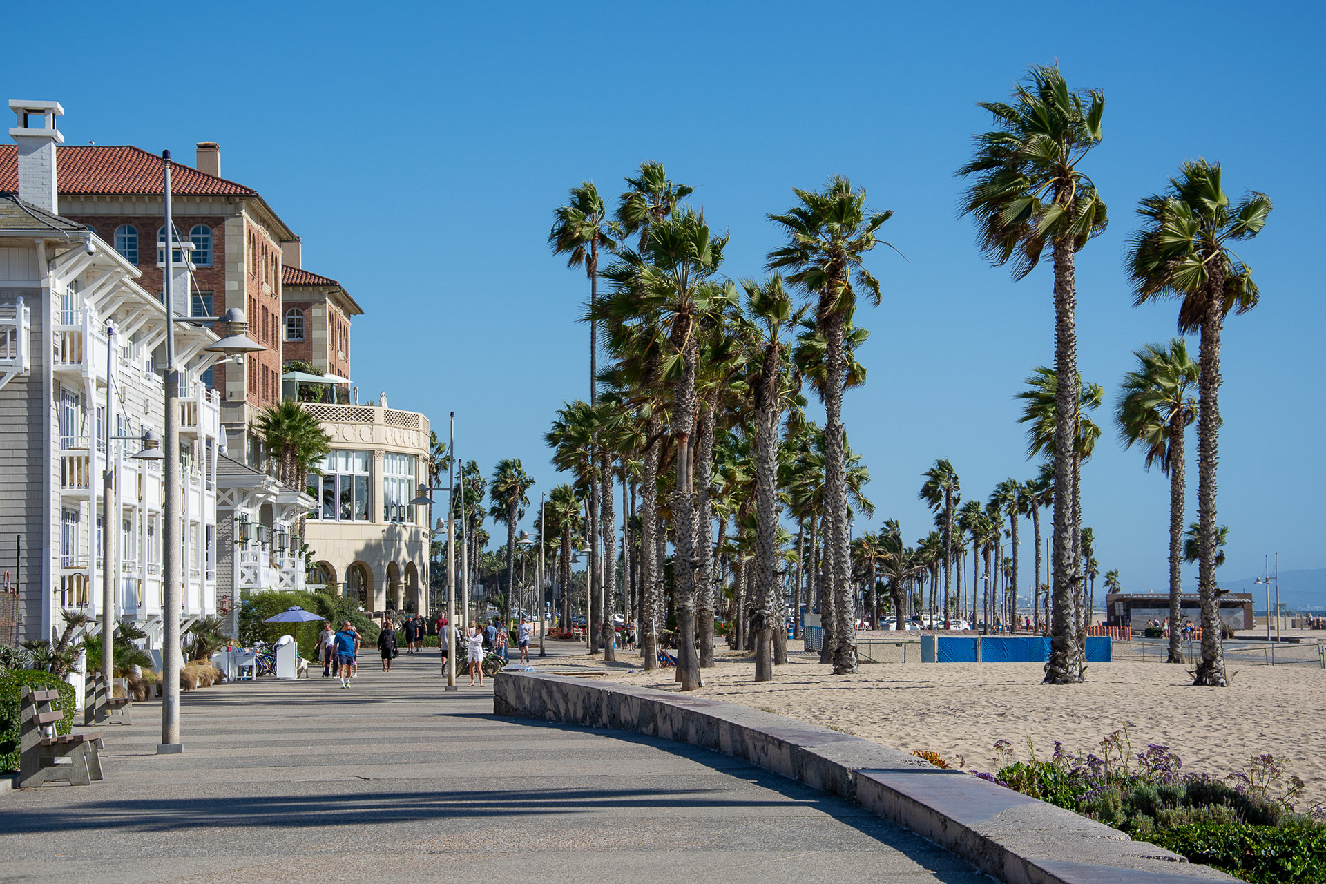 Monica Beach LA