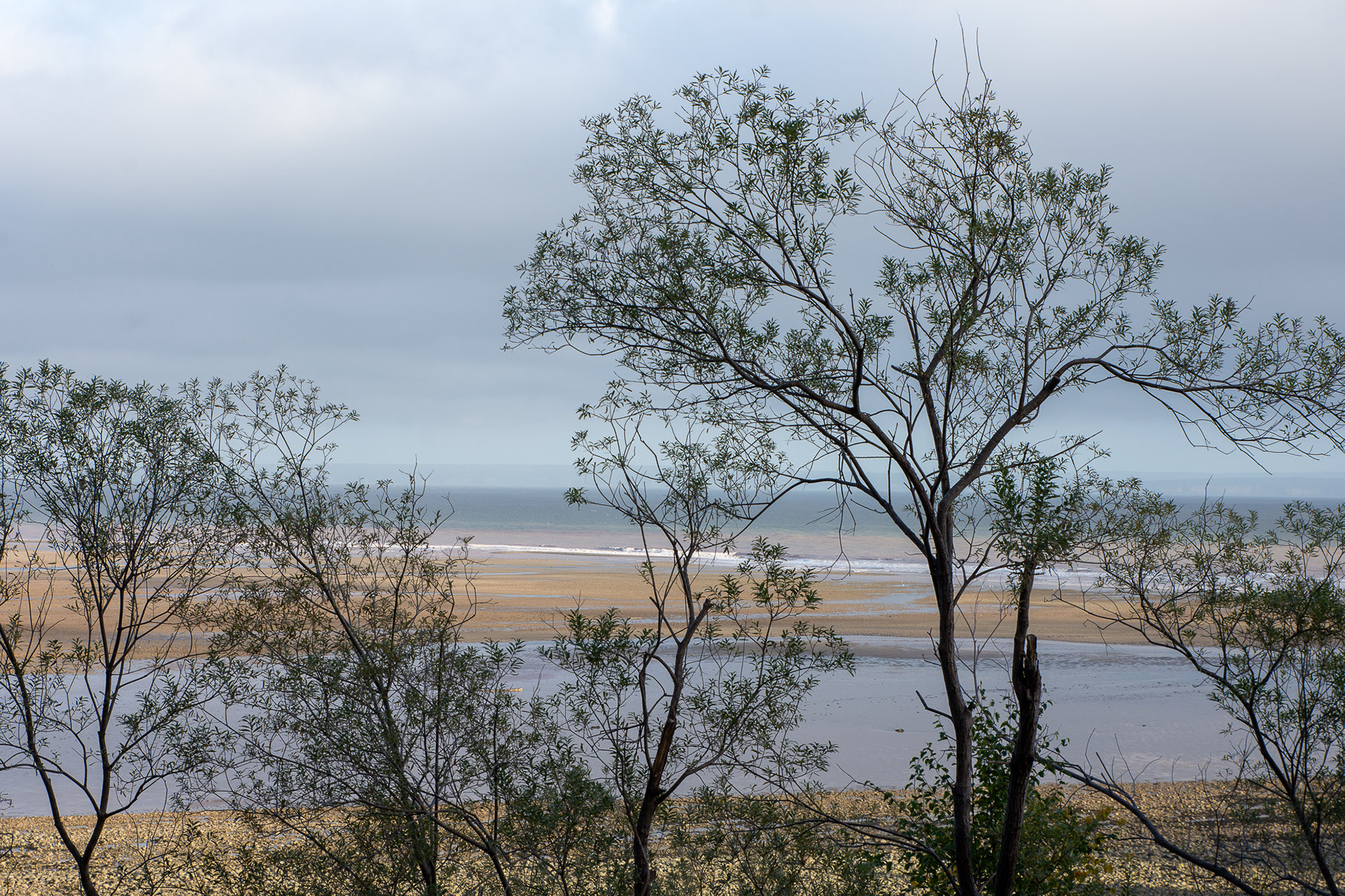 Bay of Fundy