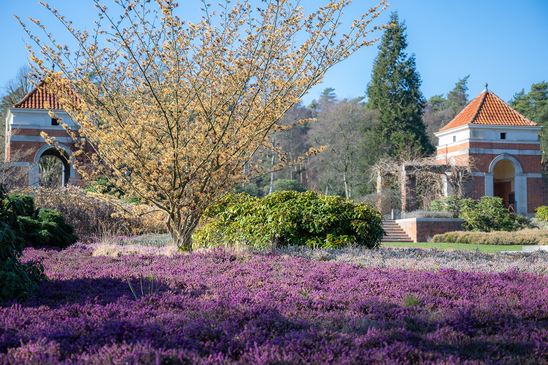 Canadese begraafplaats Holten