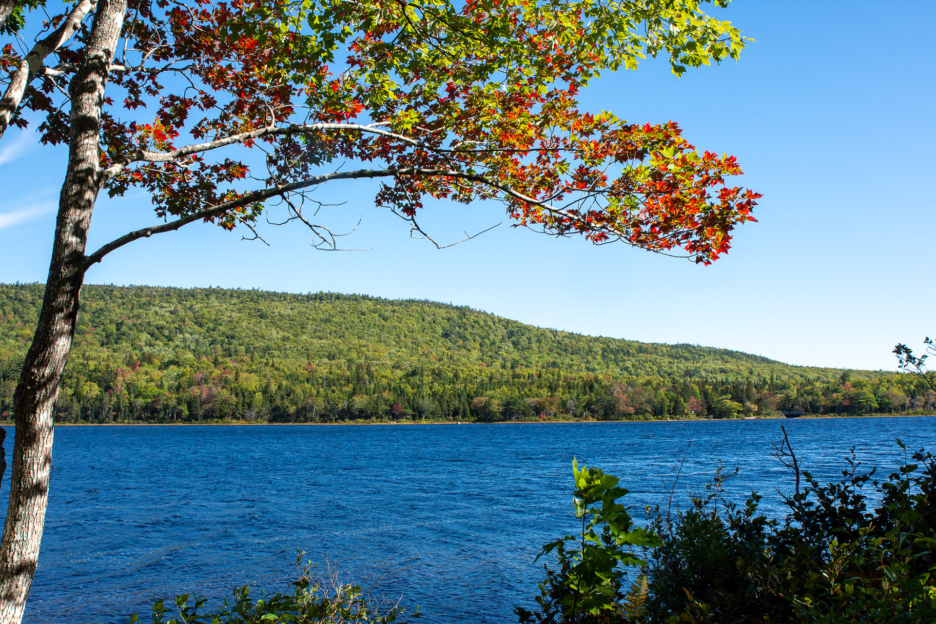 Cape Breton