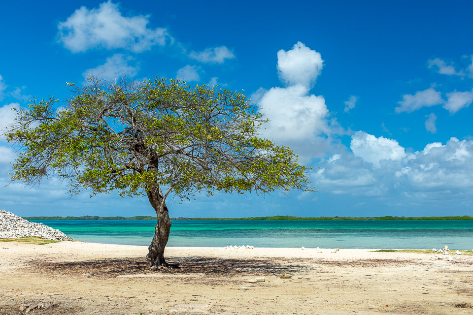 Lac Cai Beach