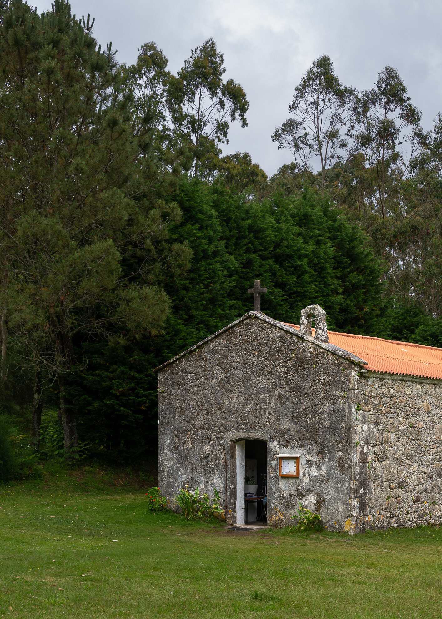 San Pedro Martir