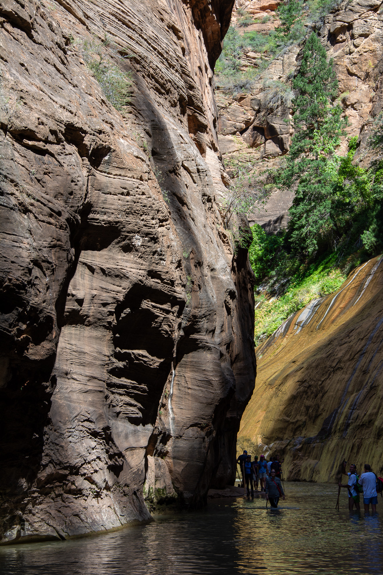 The Narrows in Zion NP