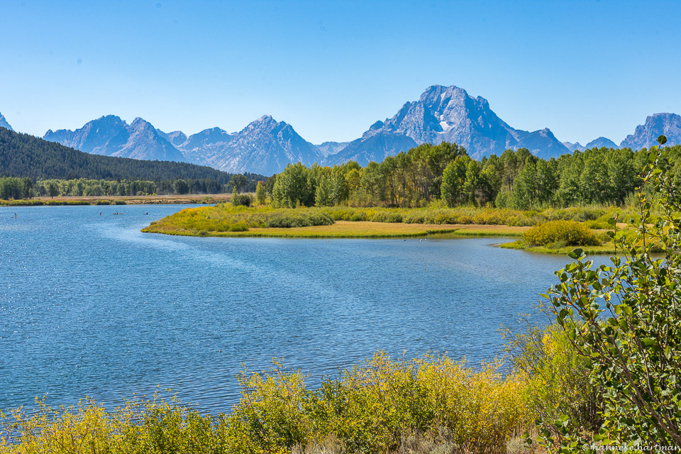 Oxbow Bend