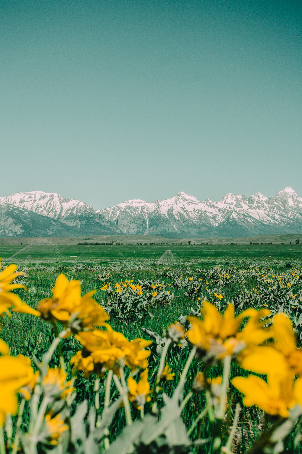 Grand Teton National Park, Wyoming