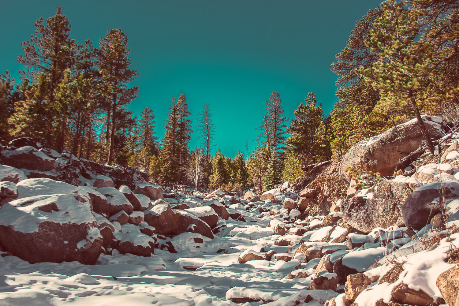 Rocky Mountain National Park, Colorado