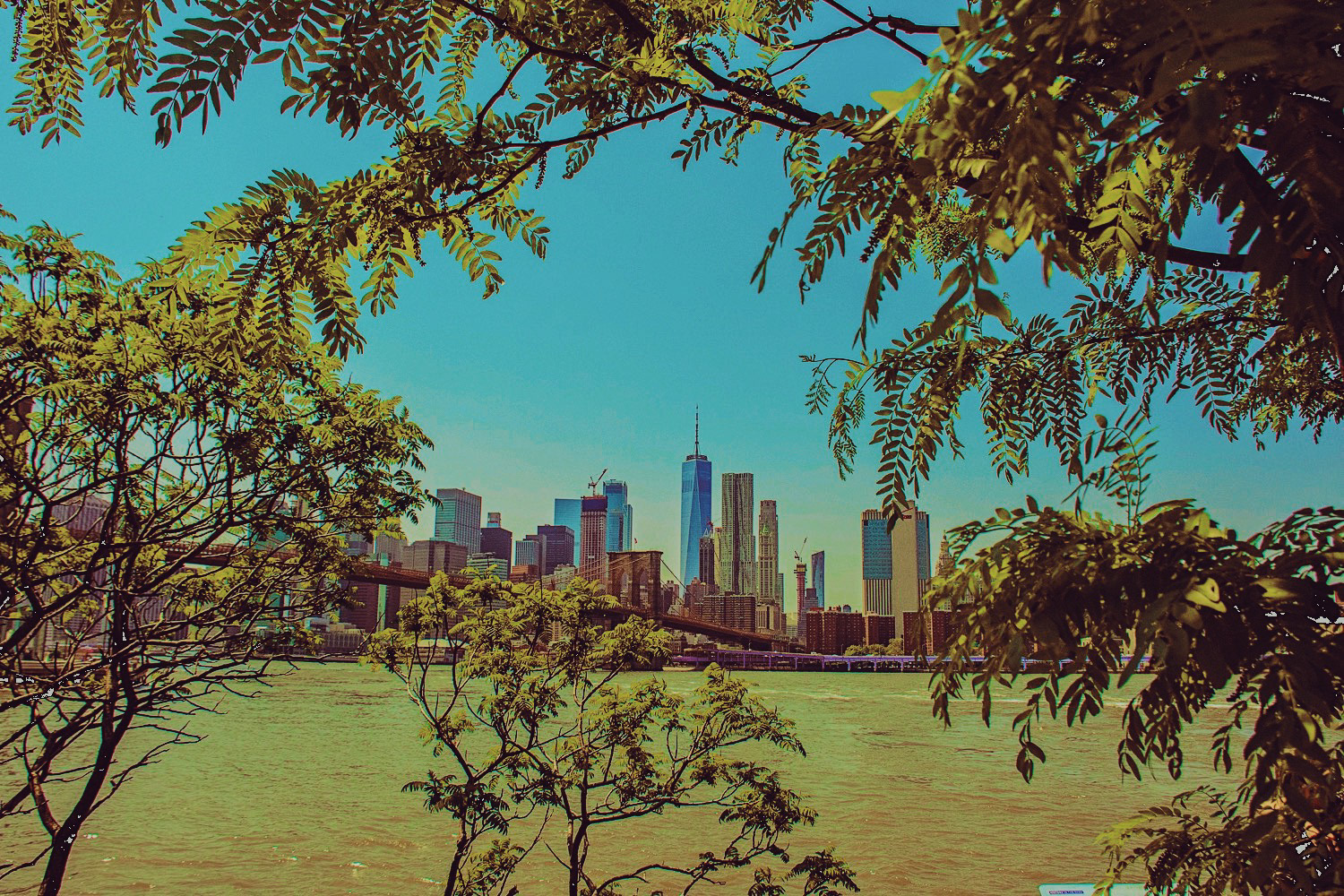 View from Brooklyn Bridge Park