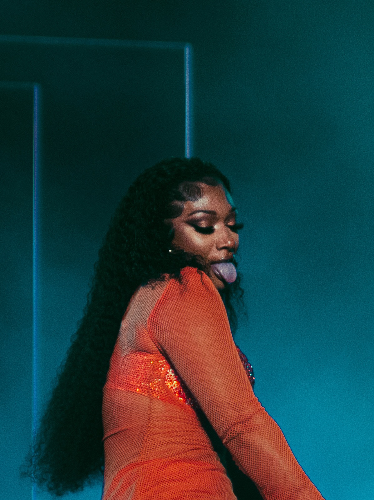 Megan The Stallion