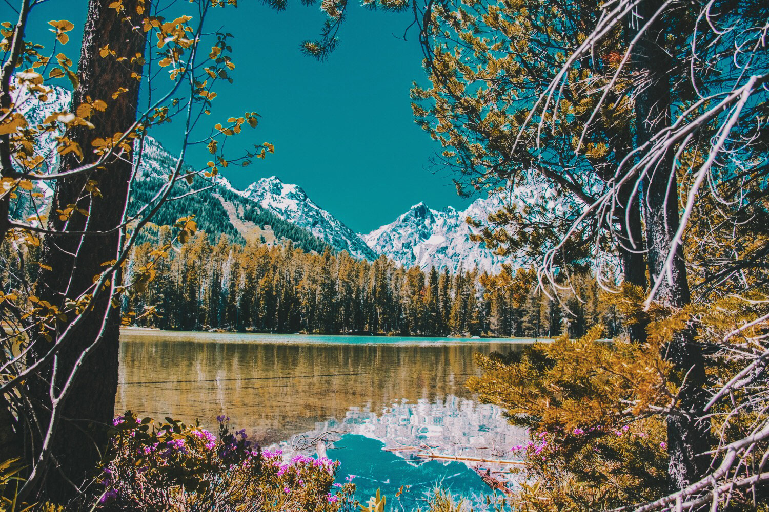 Grand Teton National Park, Wyoming 