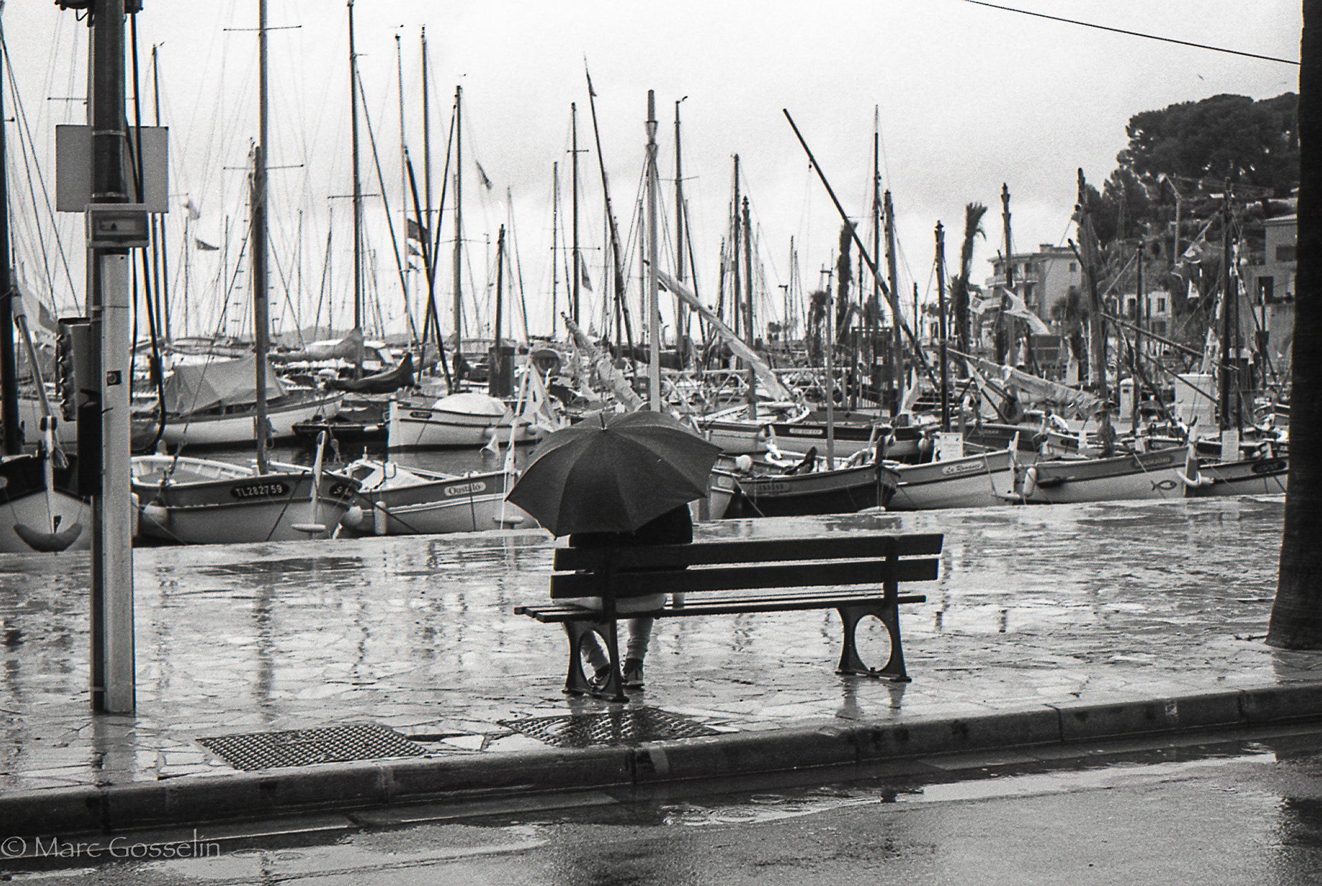 raining sunday